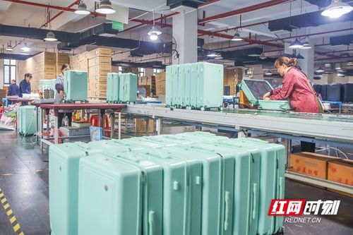蓝山箱包生产忙 探访中国皮革制品的活力车间